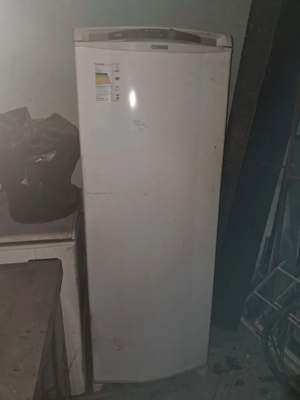 Freezer vertical consul 246L 220V