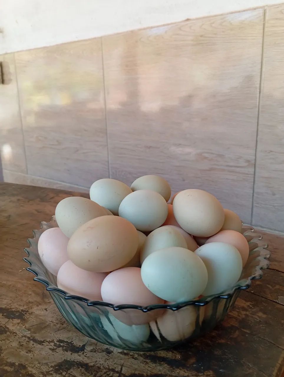 Ovos caipira Galados pra chocadeira!!! - Foto 3