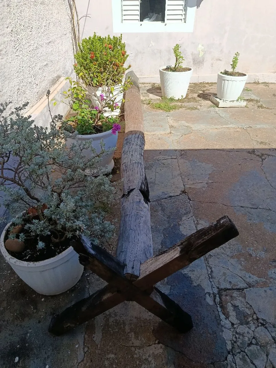 Aroeira