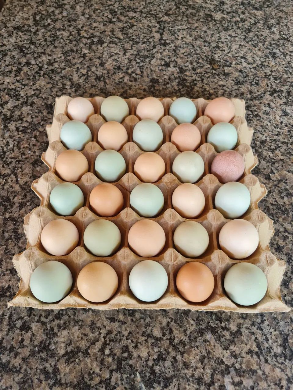 Ovos Ferteis(Galados) Galinhas GLC. As queridinhas do Brasil, ovos caipira colorido.  - Foto 2