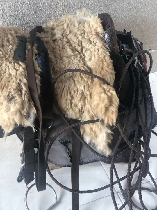 Burro mais a traia a venda  - Foto 6