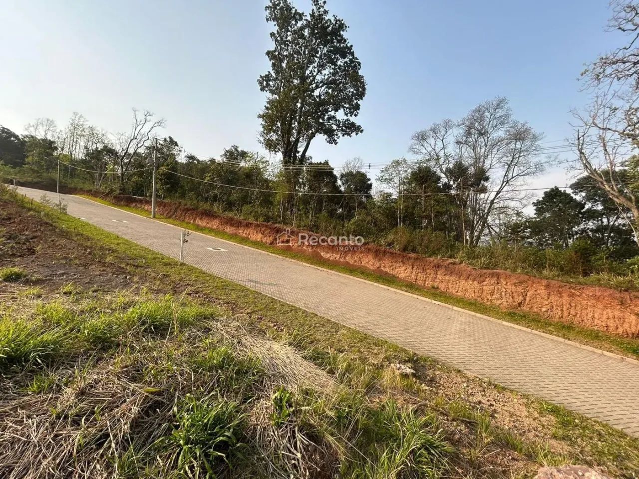 TERRENO A VENDA EM GRAMADO - Foto 4