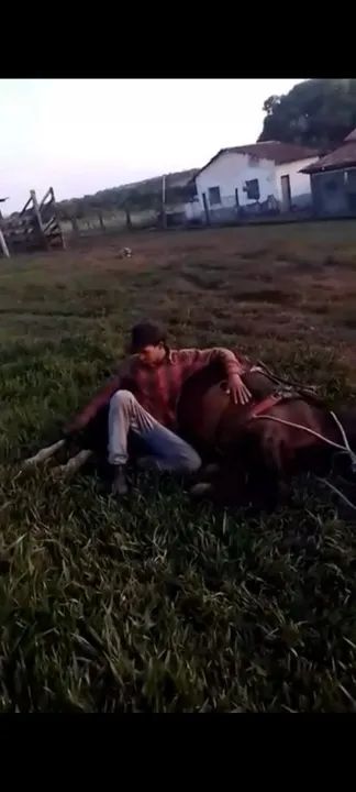 Domador de cavalos - Foto 3