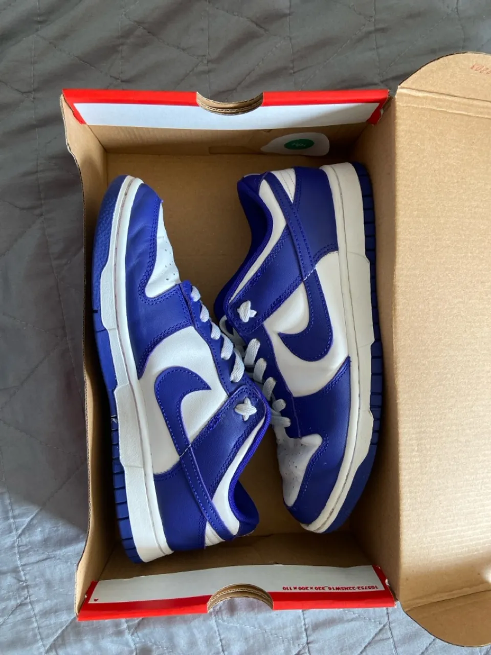 Nike Dunk Low Retro - Azul e Branco