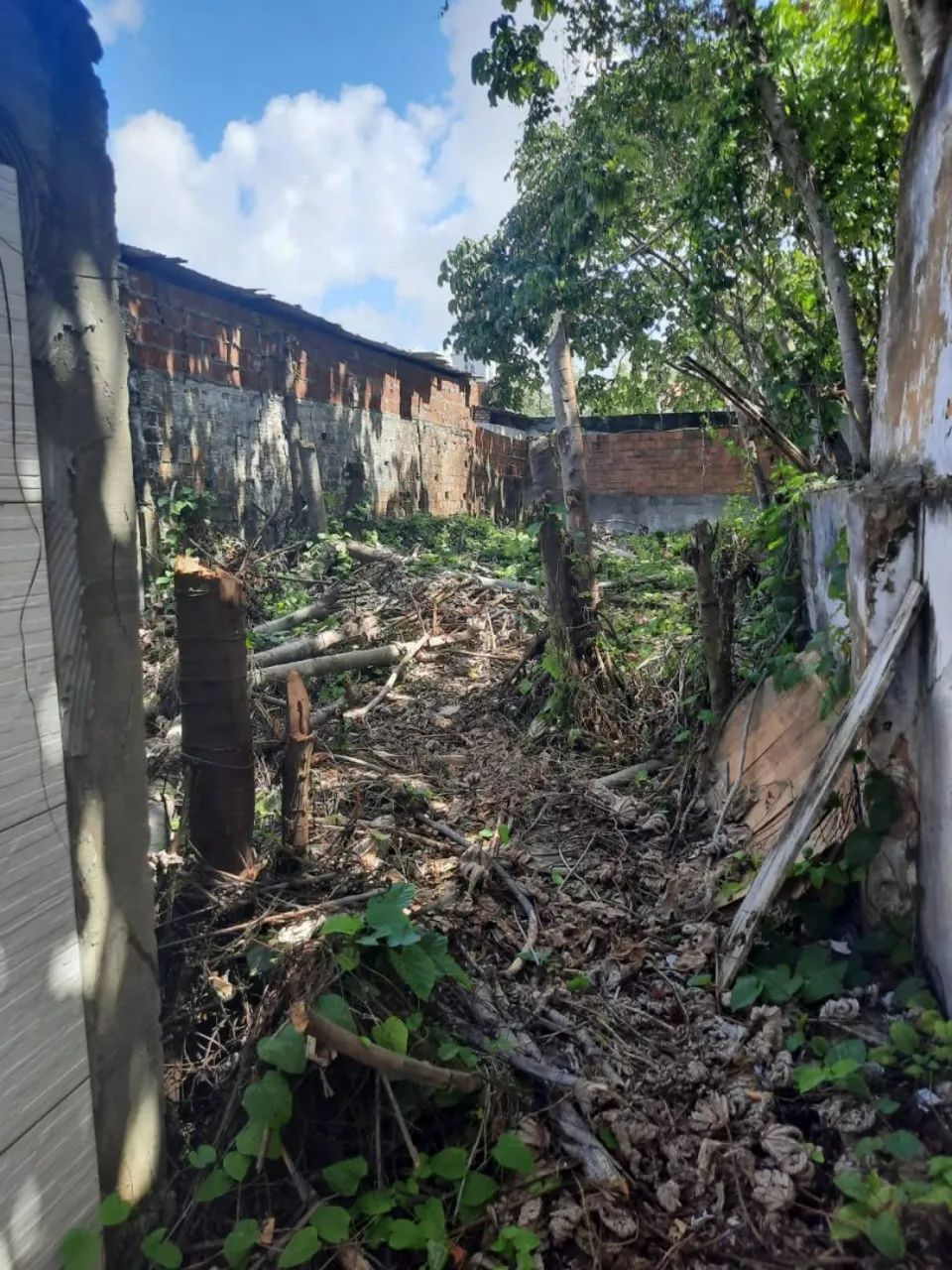 * Lote no centro 70586