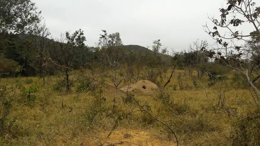 Chácara 1530m², Córrego Rio Dourados, Energia, Plana, 25km Term.Garavelo, Aragoiânia. - Foto 5