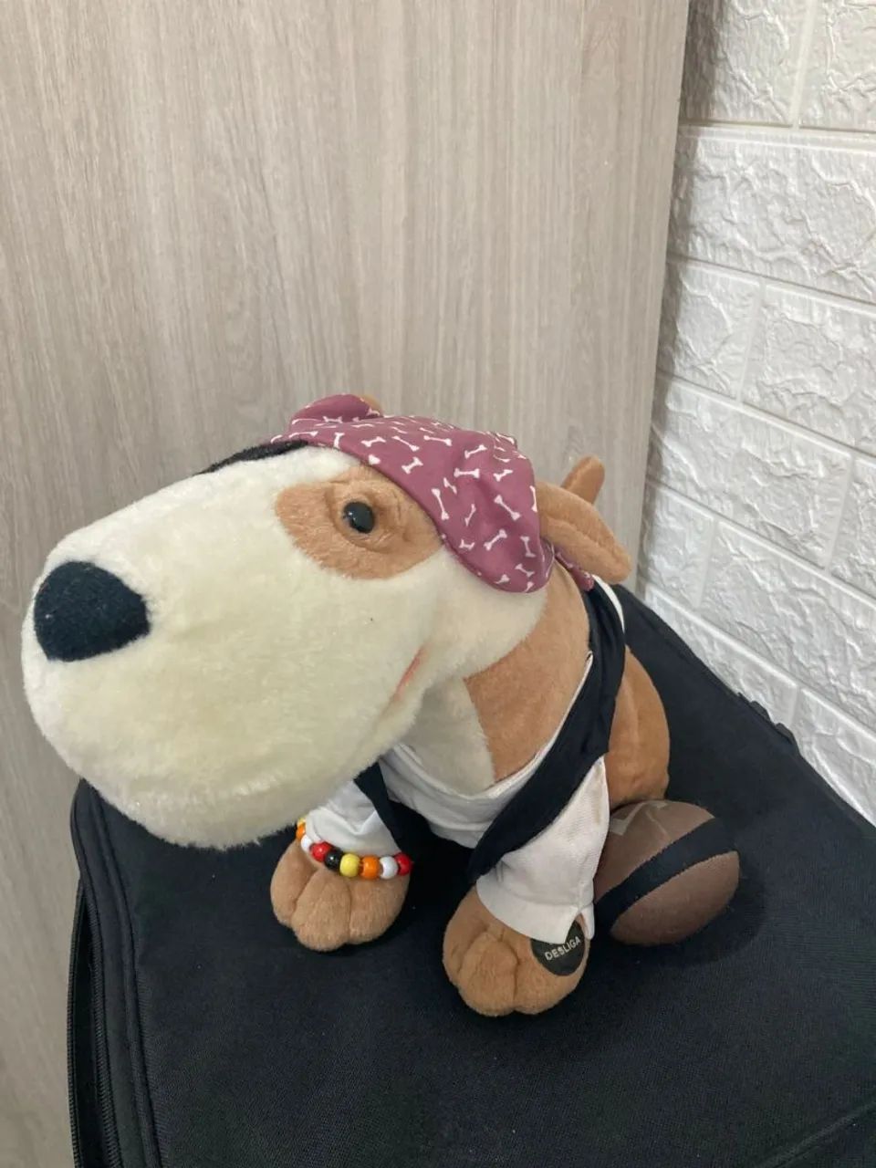 Cão Spock Candide 