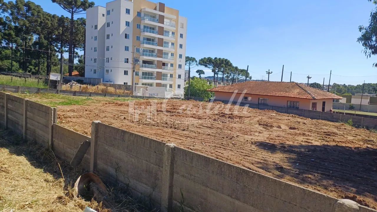 Terreno à venda,462.00 m , Bairro Orfãs, PONTA GROSSA - PR - Foto 4