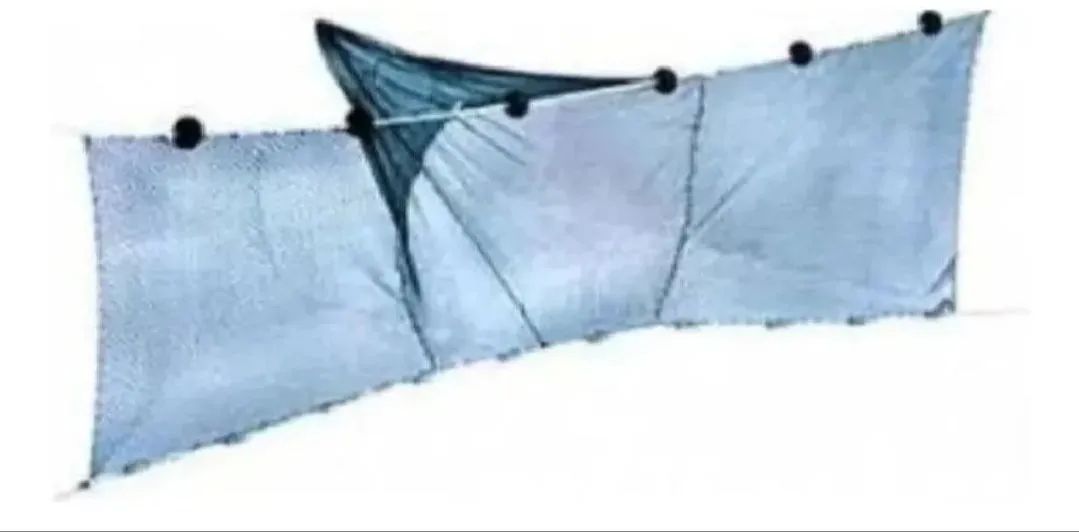 Rede P\ Arrasto Pescaria Despesca Malha 12mm X 20m Com Funil