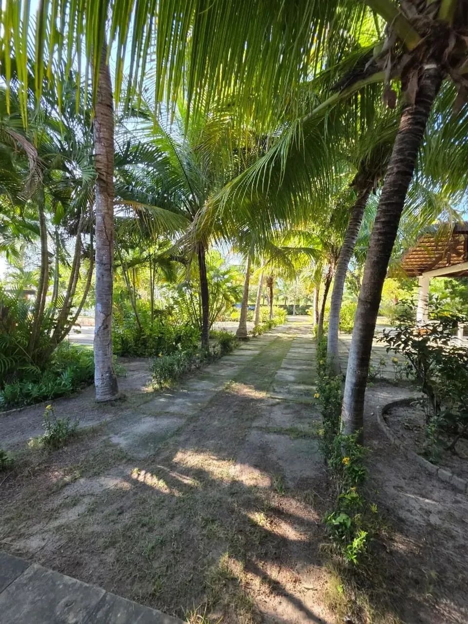 Sítio em Aquiraz com vista para o Lago - Foto 7