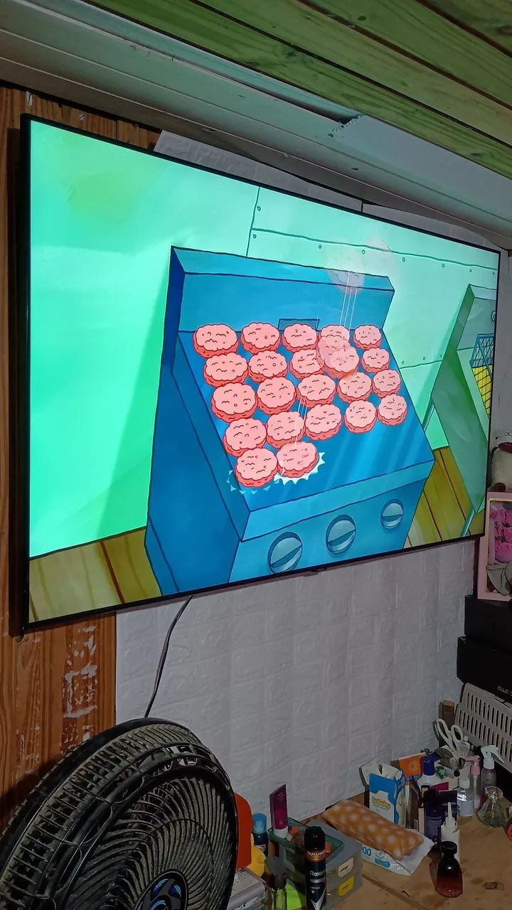 Televisão