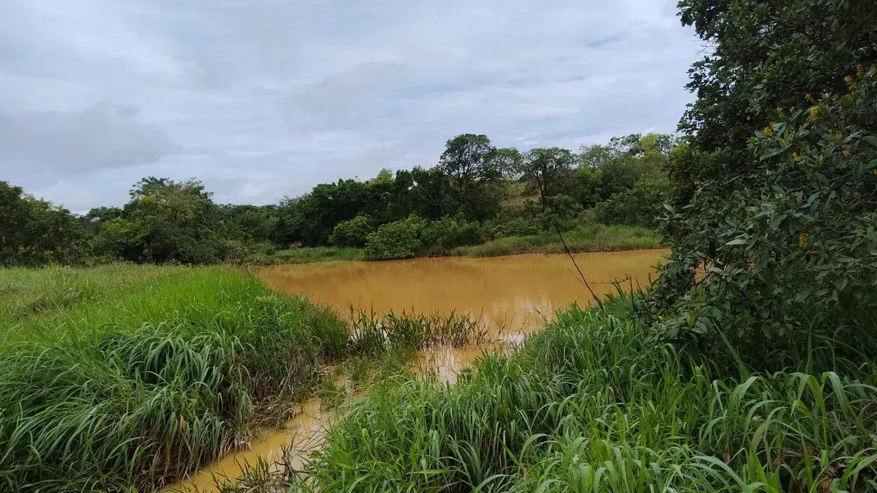 Fazenda Completa em Formosa-GO | 8 Alqueires com Barragem, Poço e Curral - Foto 4