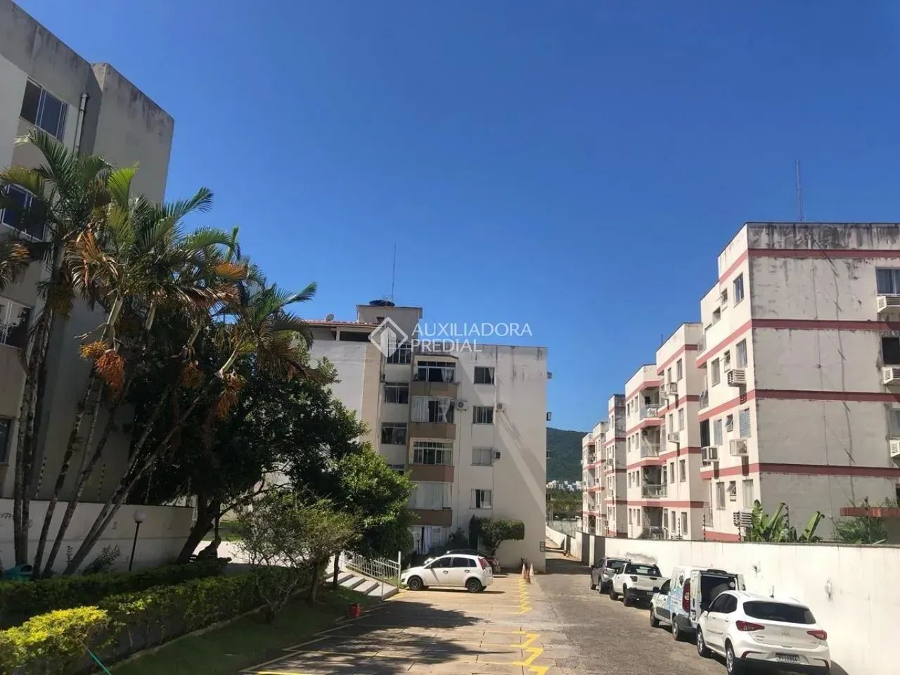 Imóvel para aluguel tem 200 metros quadrados com 4 quartos em Trindade - Florianópolis - S