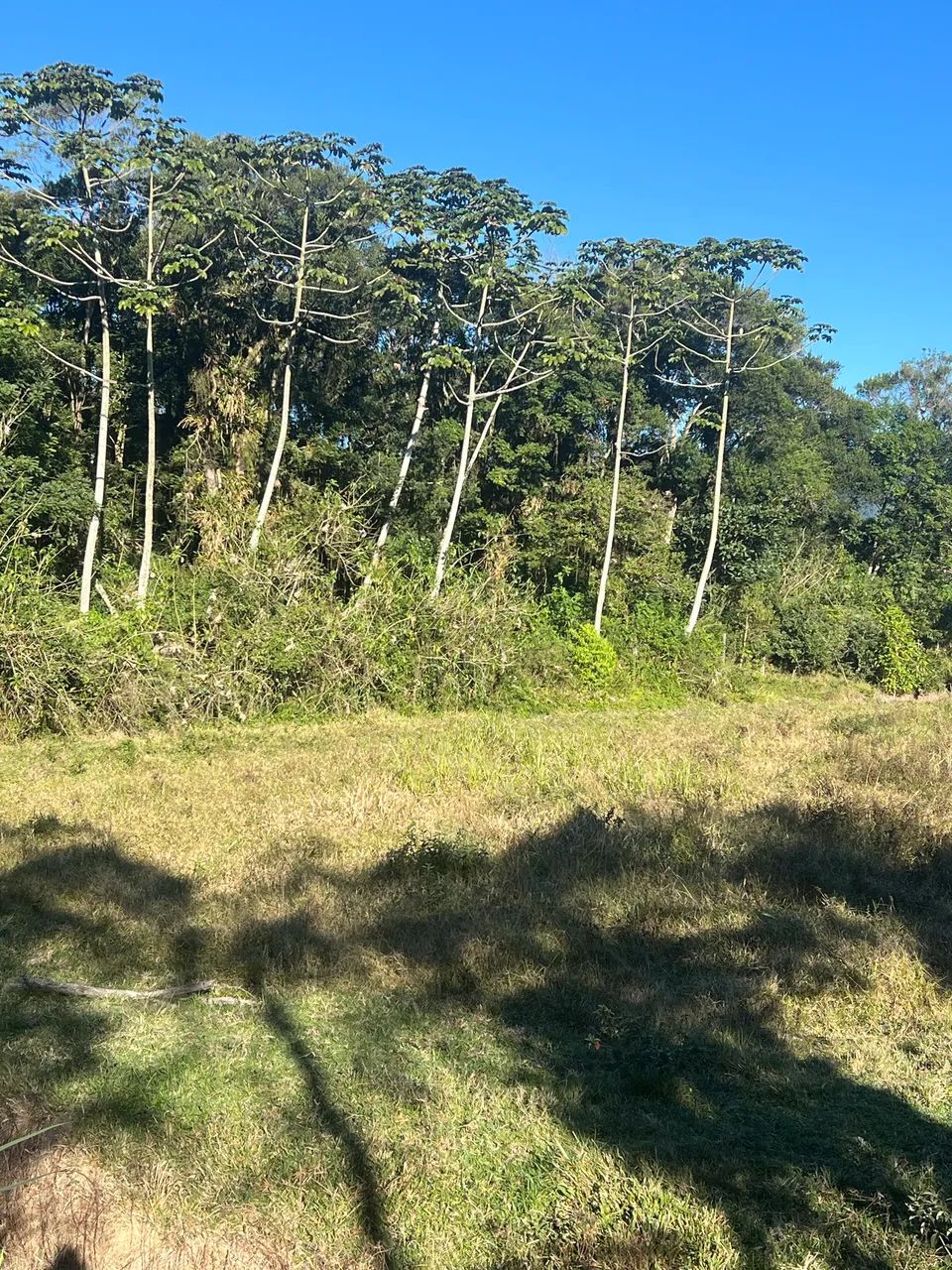 Vendo ou troco por carro  - Foto 4