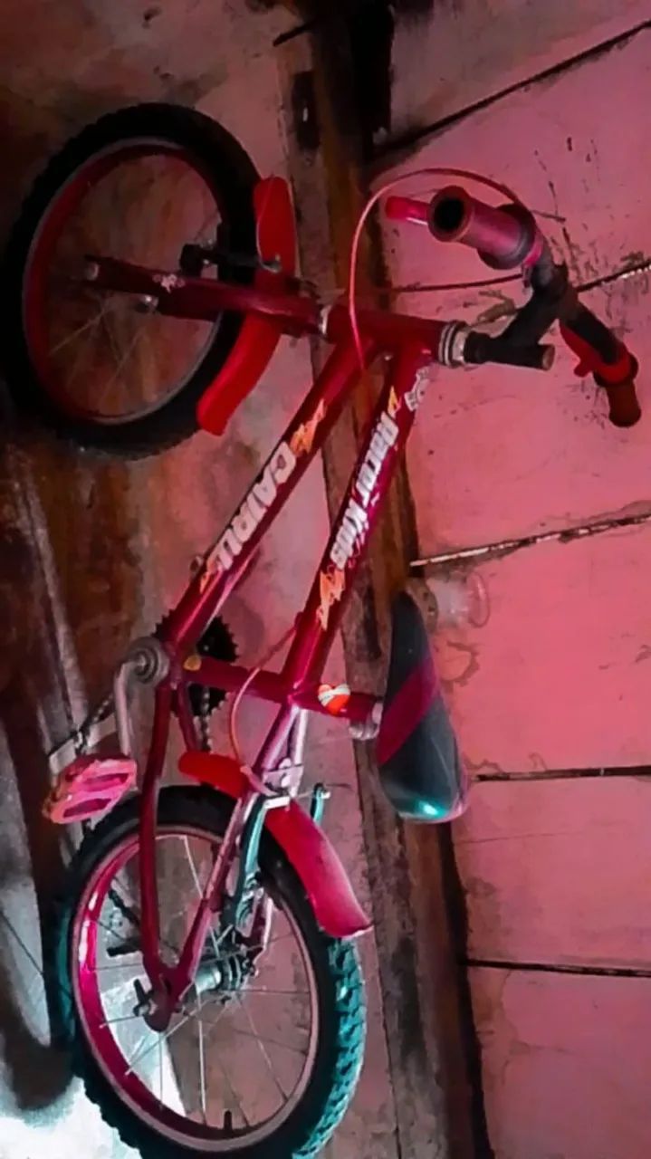 Vendendo bicicleta 
