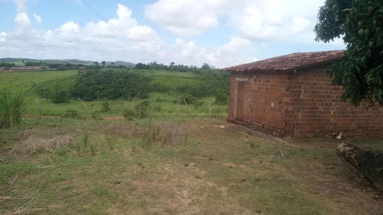 Vendo sítio em Chã de Alegria-PE - Foto 2