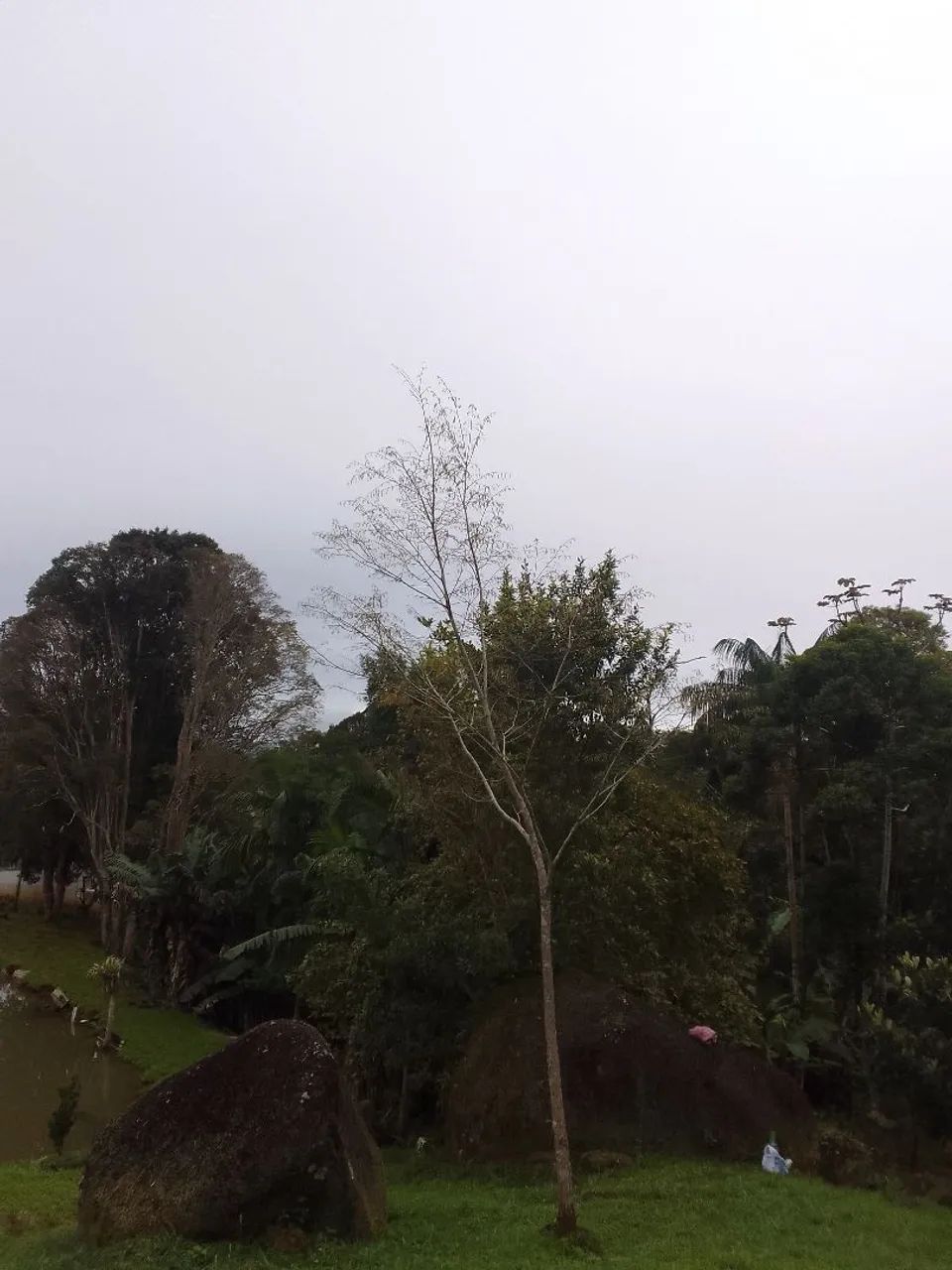 Terreno em Morretes  - Foto 4