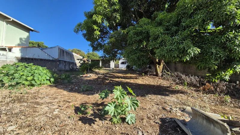 Lote de 990mA² - Foto 2