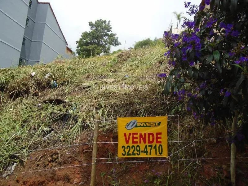 Terreno - Juiz de Fora MG - Foto 3