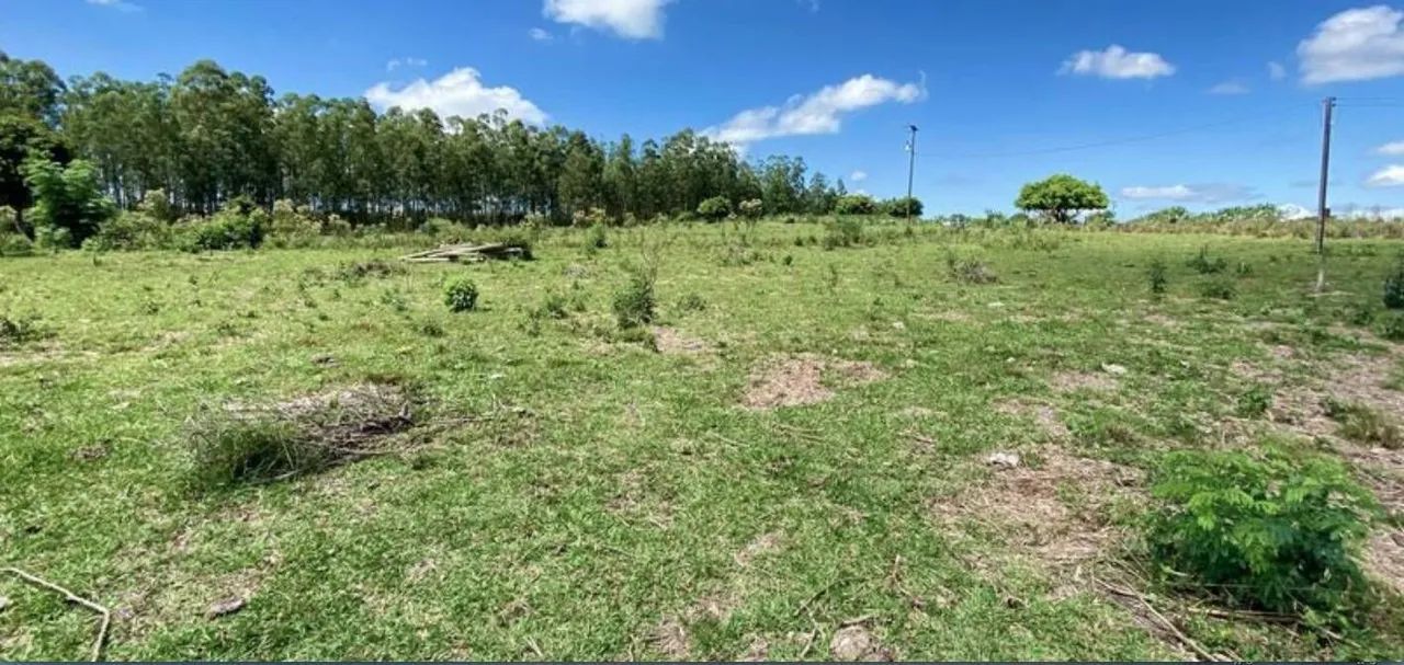 Vende-se Sítio de 4.8 alqueires em Carlopolis PR