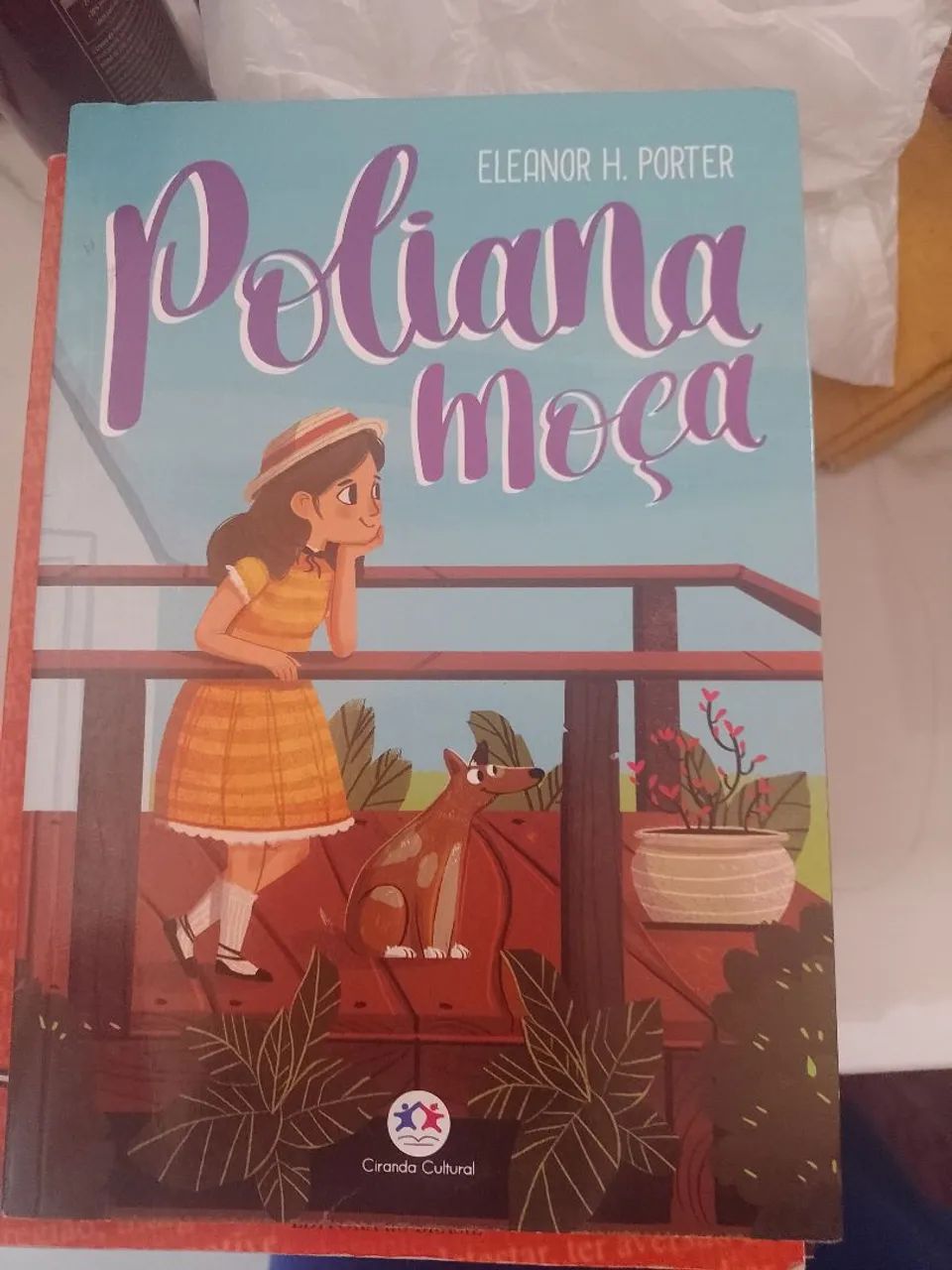 Paradidáticos  - Foto 4