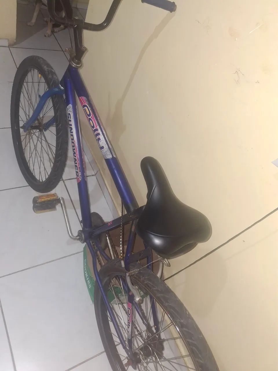 Bicicleta 