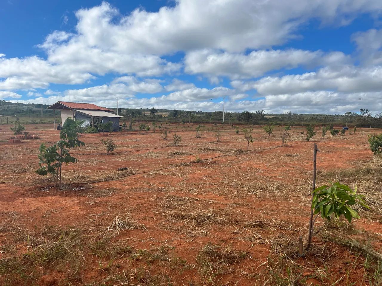 Vendo sítio 2 hectares BR 365, km 26 entrada do Canto de Engenho  - Foto 4