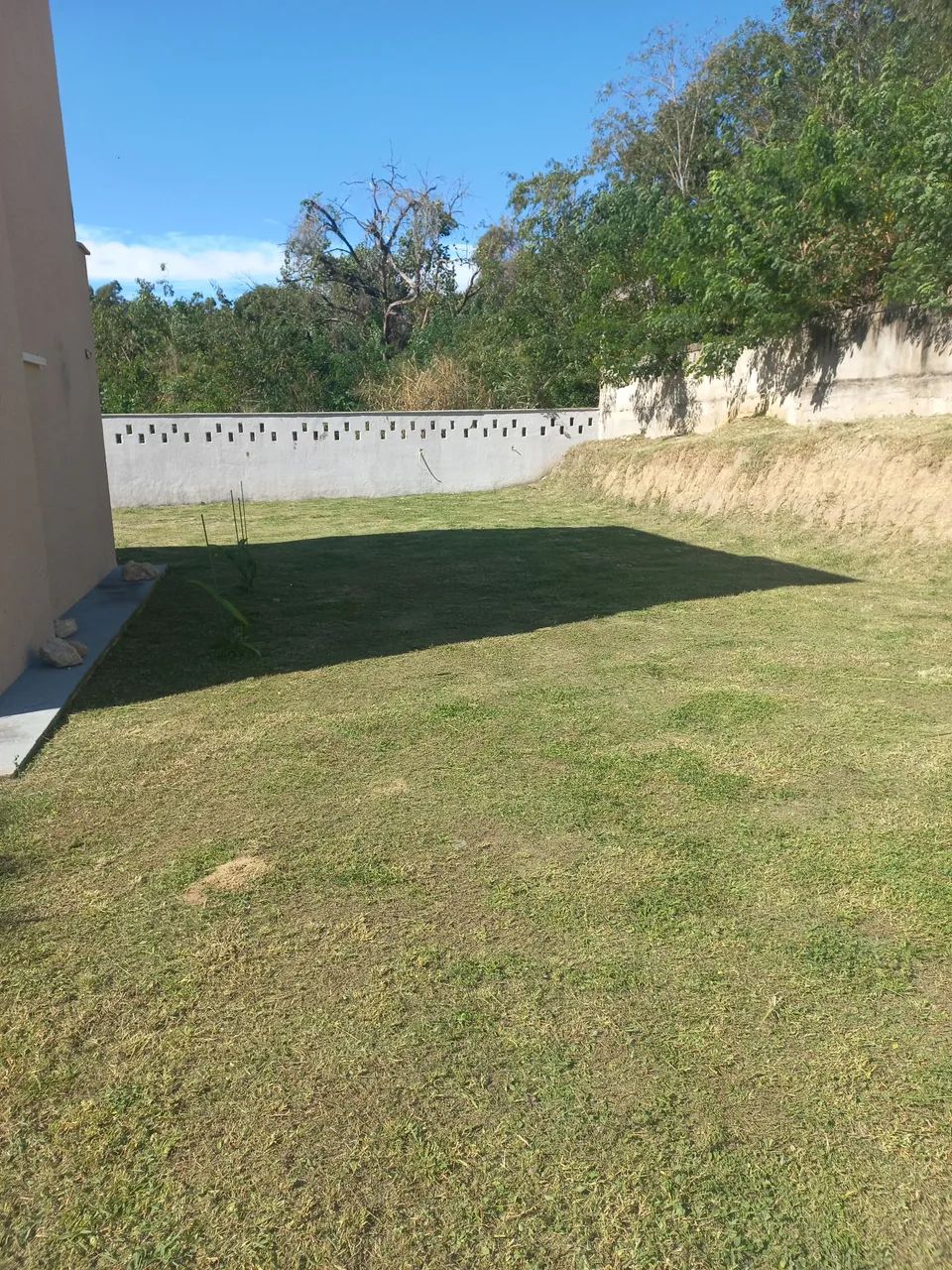 Serviço de jardinagem - Foto 4