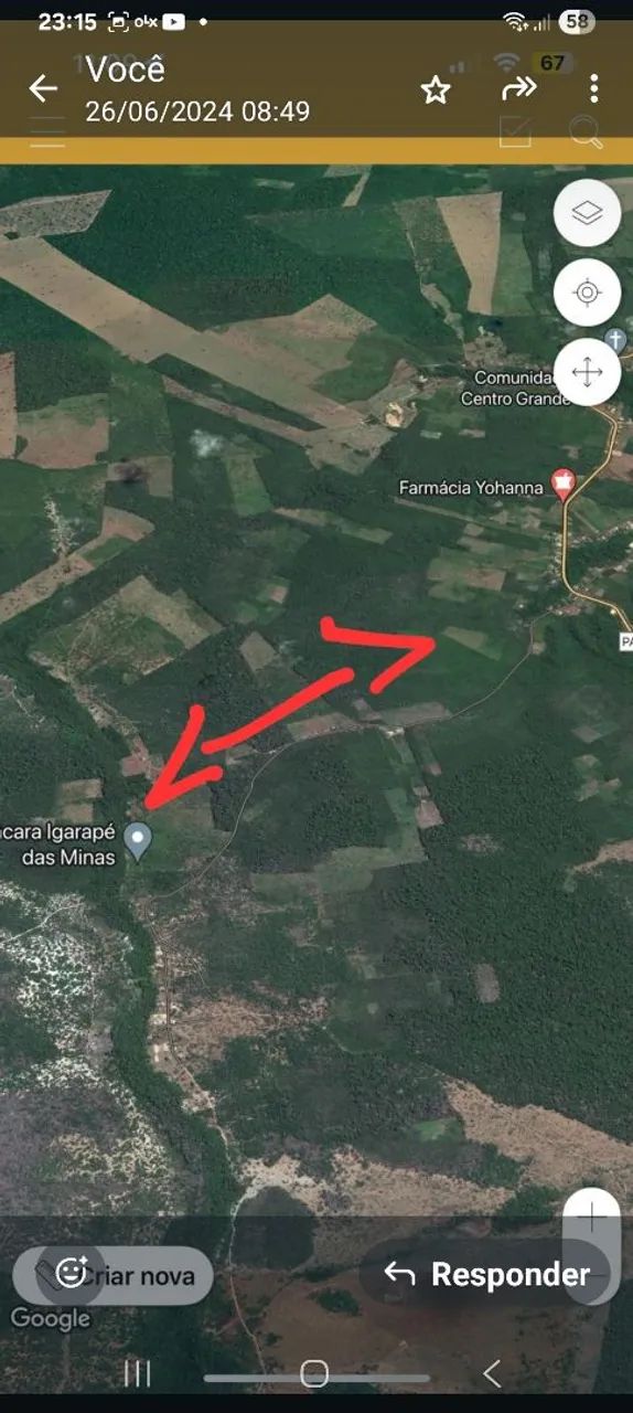SÍTIO DE 50 HECTARES COM 2 IGARAPÉS.  - Foto 5