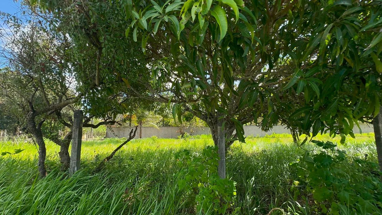 Terreno de Esquina com 3.700m² no Povoado Sapé - Foto 4