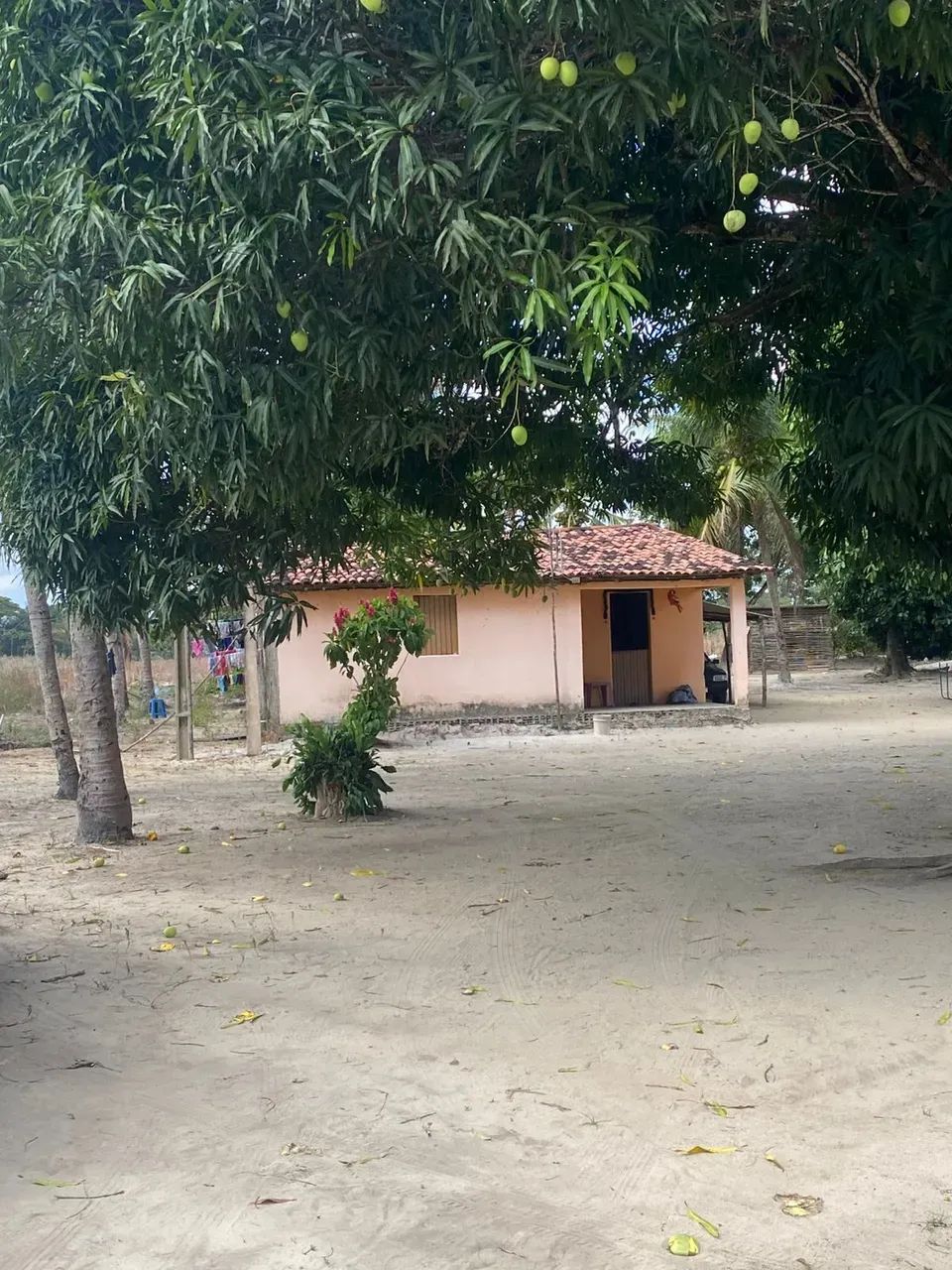 Excelente terreno Rural no Engenho Pitanga, em Igarassu, 4,5ha (123m X 366m) - Foto 2