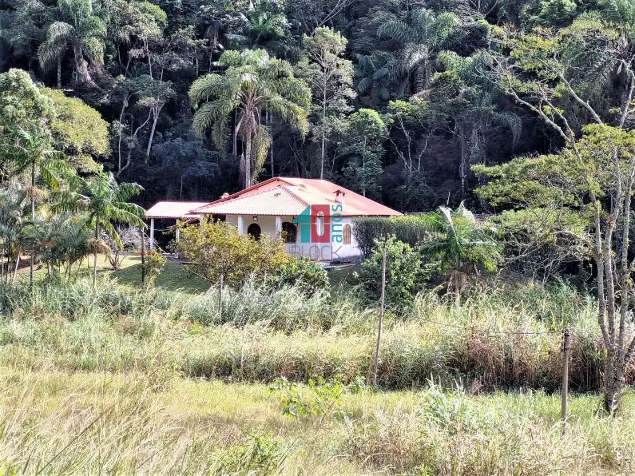 Ipiabas | Fazenda 3 quartos, sendo 1 suite - Foto 2