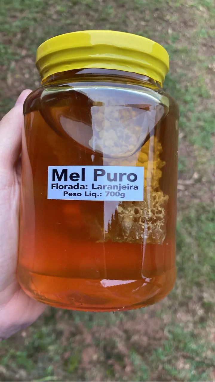 MEL PURO 100% NATURAL 700g - Foto 3