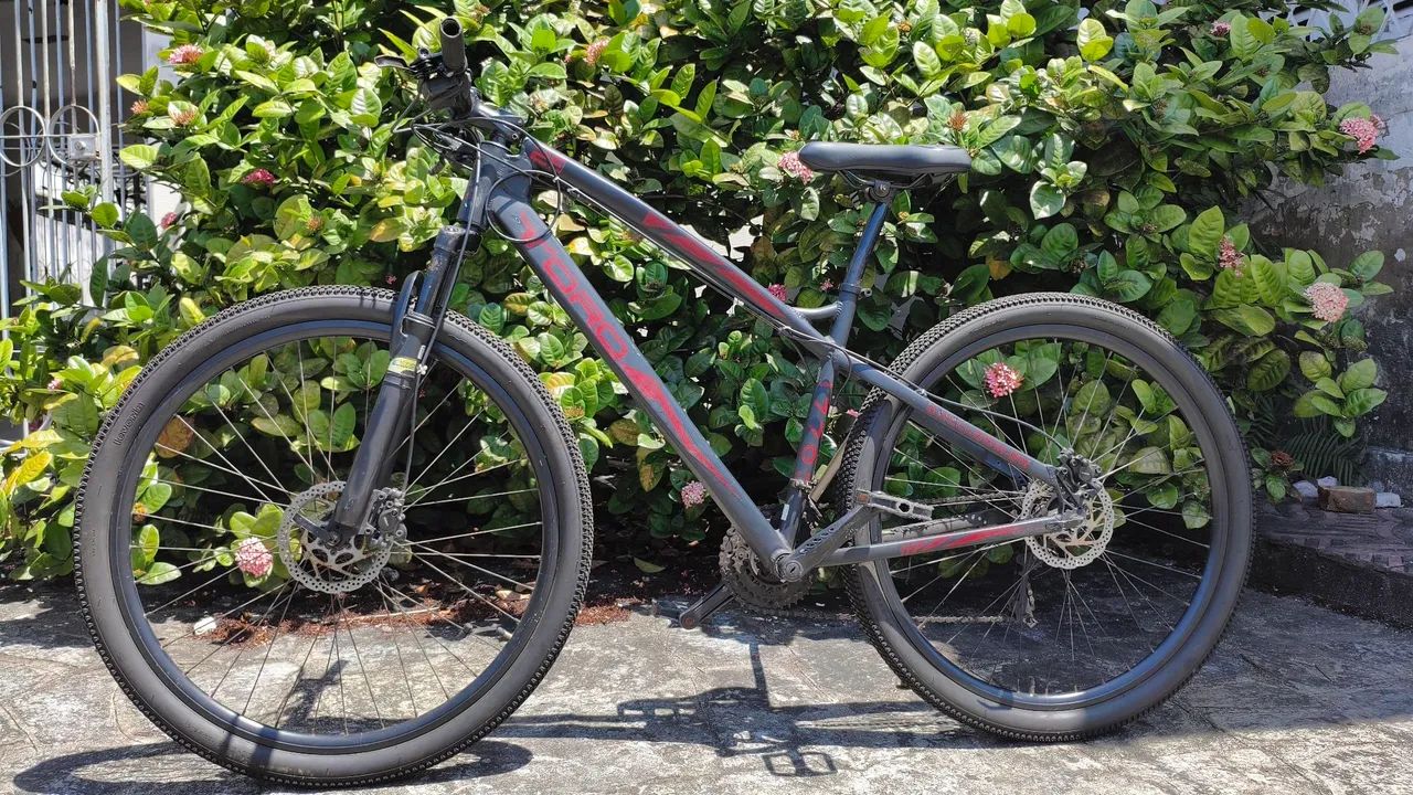 Bicicleta aro 29 