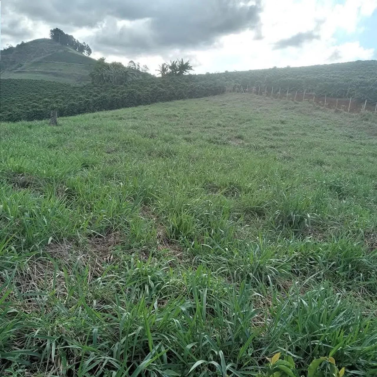 Terreno