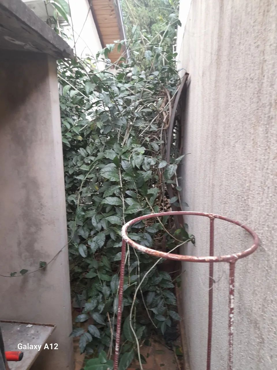 Jardinagens  - Foto 3