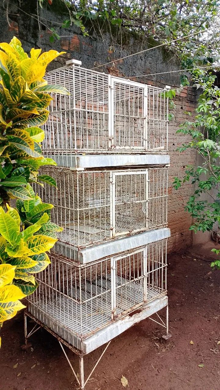 Gaiola 3 andares  - Foto 2