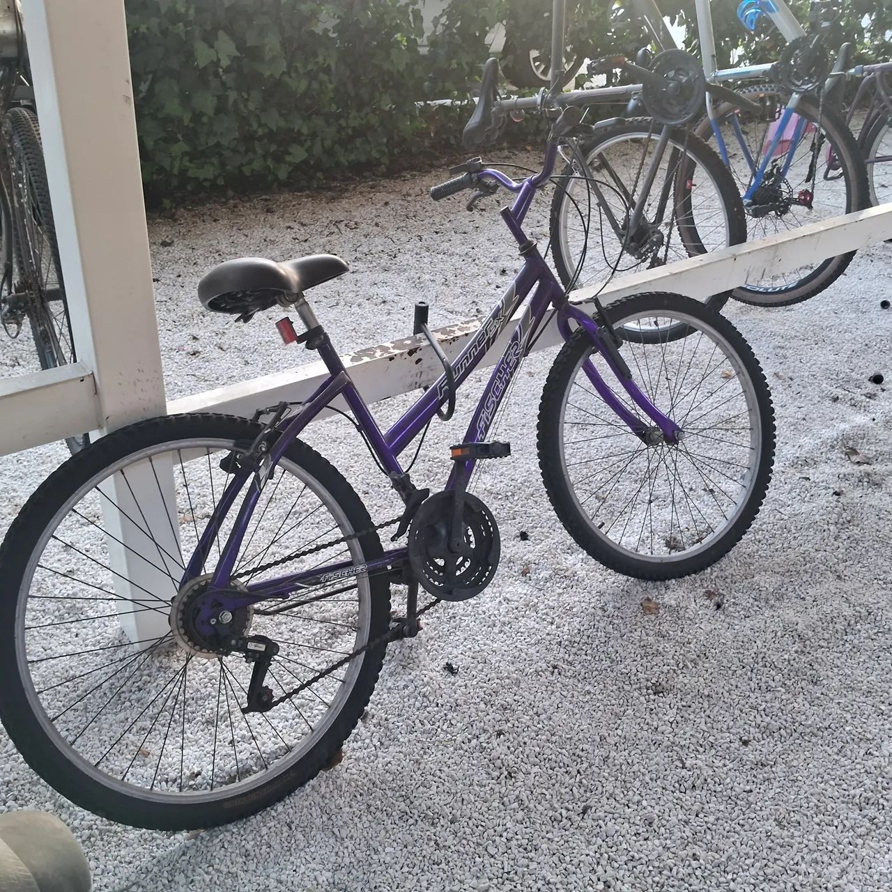 Bicicleta 