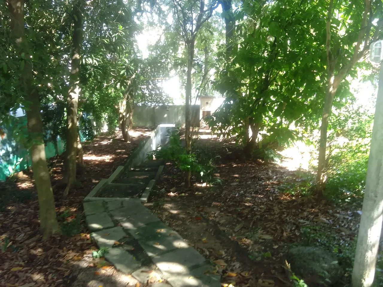Terreno 18 - Foto 3