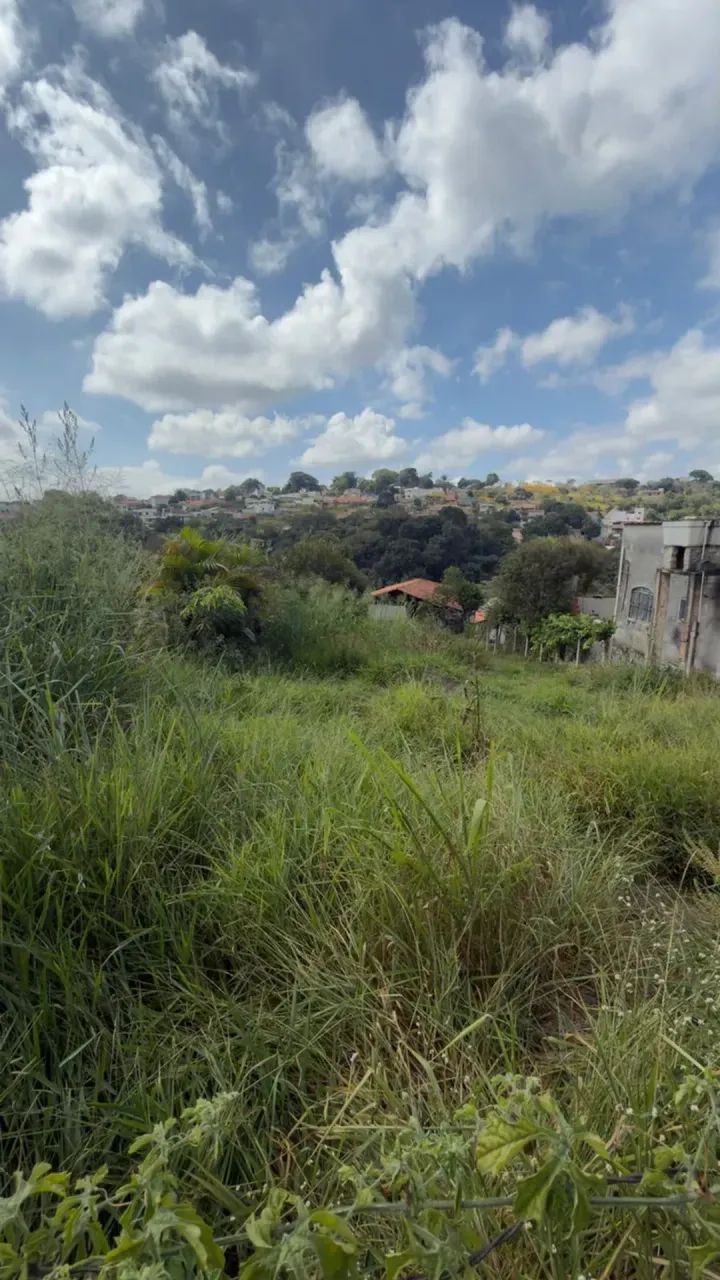 LOTE COM 468m2 NO DOM PEDRO I - Foto 3