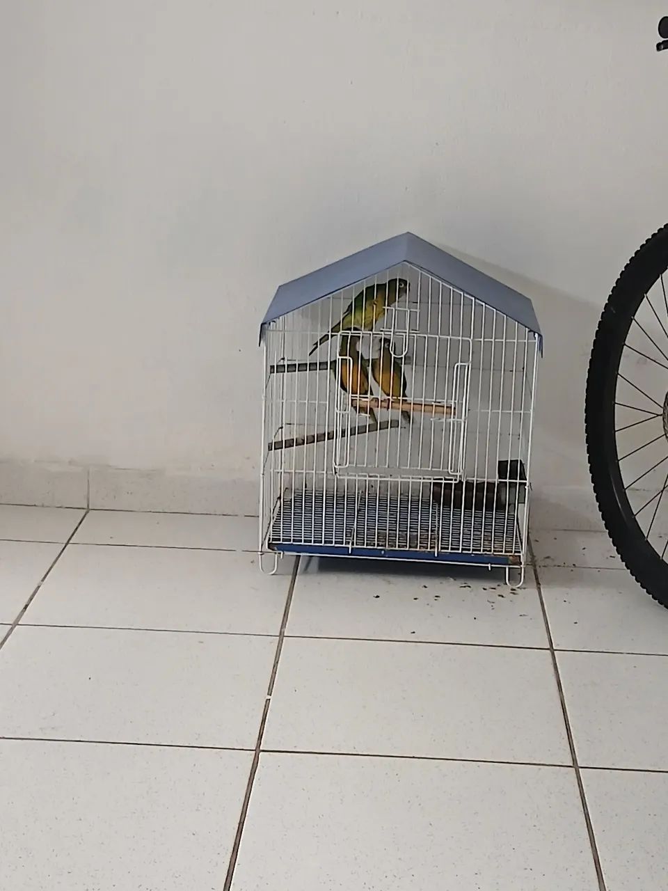 Bebedouro 
