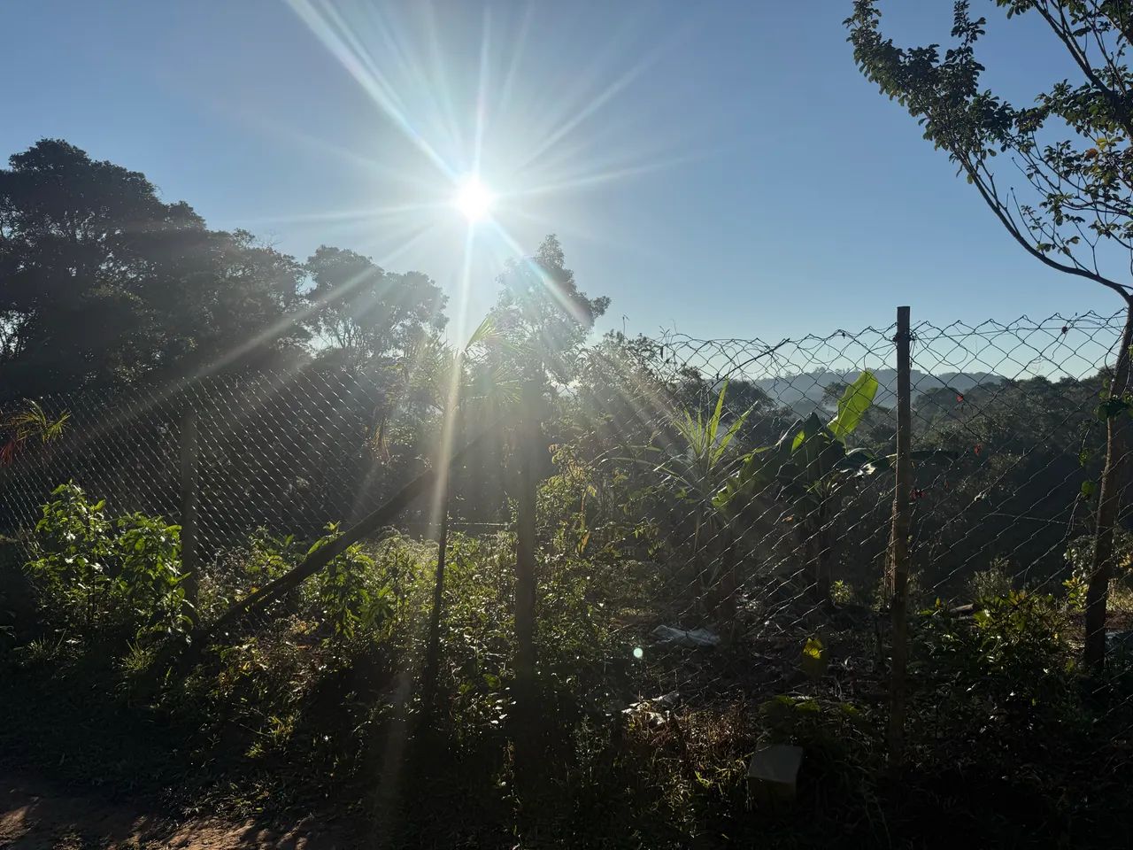 Chácara de 1.000 metros  com casa - Foto 5
