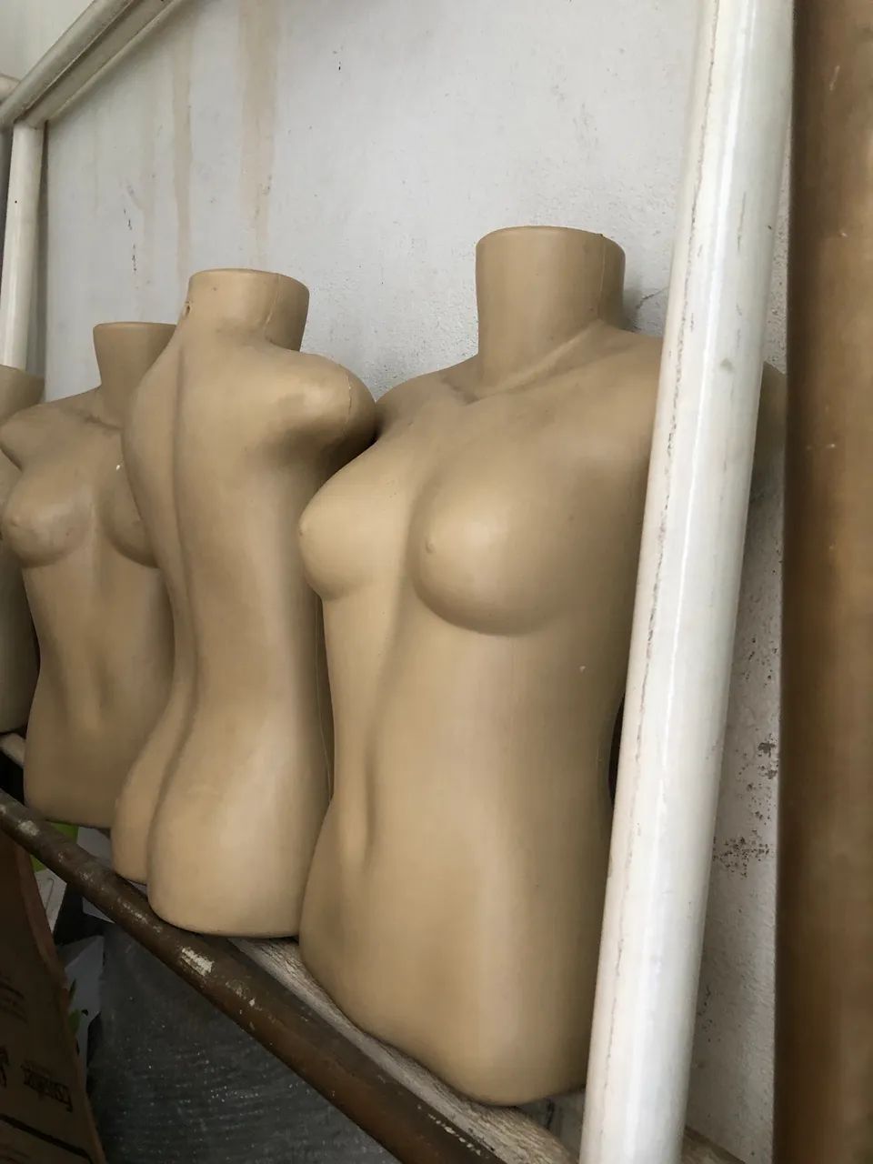 Busto manequim 