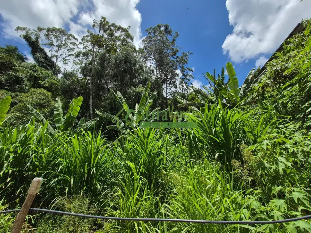 Terreno em ótima localização - Foto 4