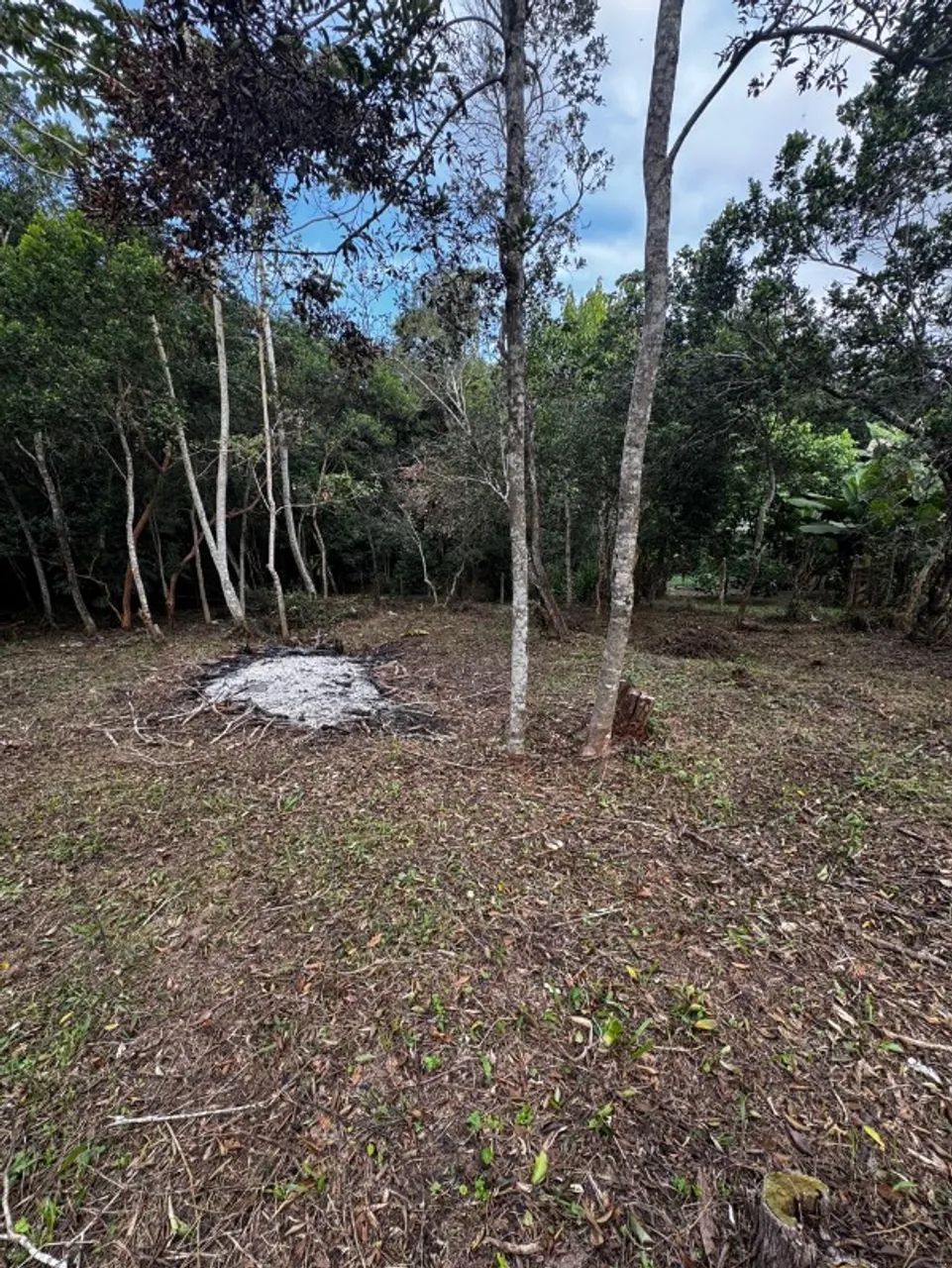 TERRENO RESIDENCIAL em FLORIANÓPOLIS - SC, RATONES - Foto 5
