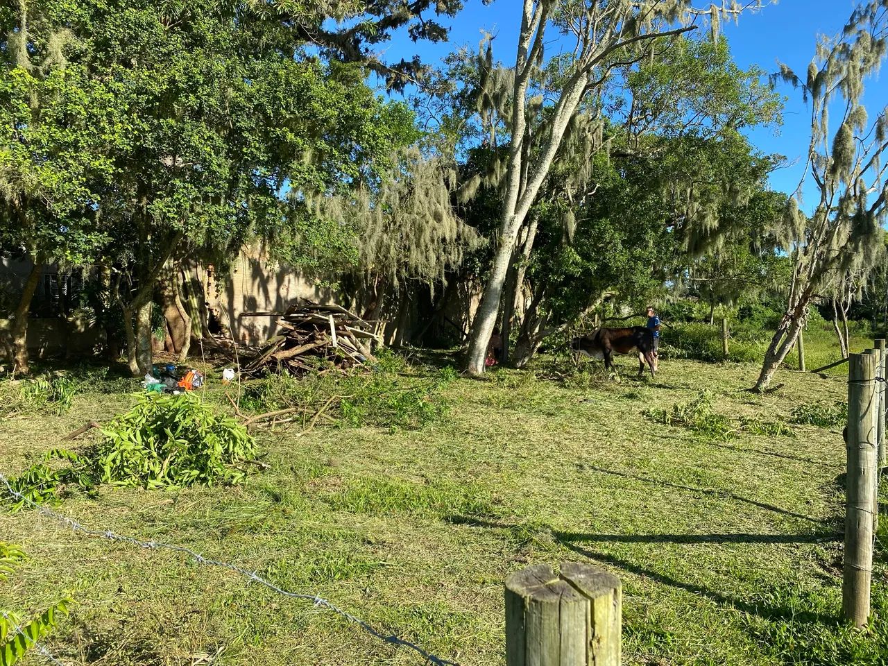 Terrenos à venda em Guaiuba, Imbituba - SC - Foto 2