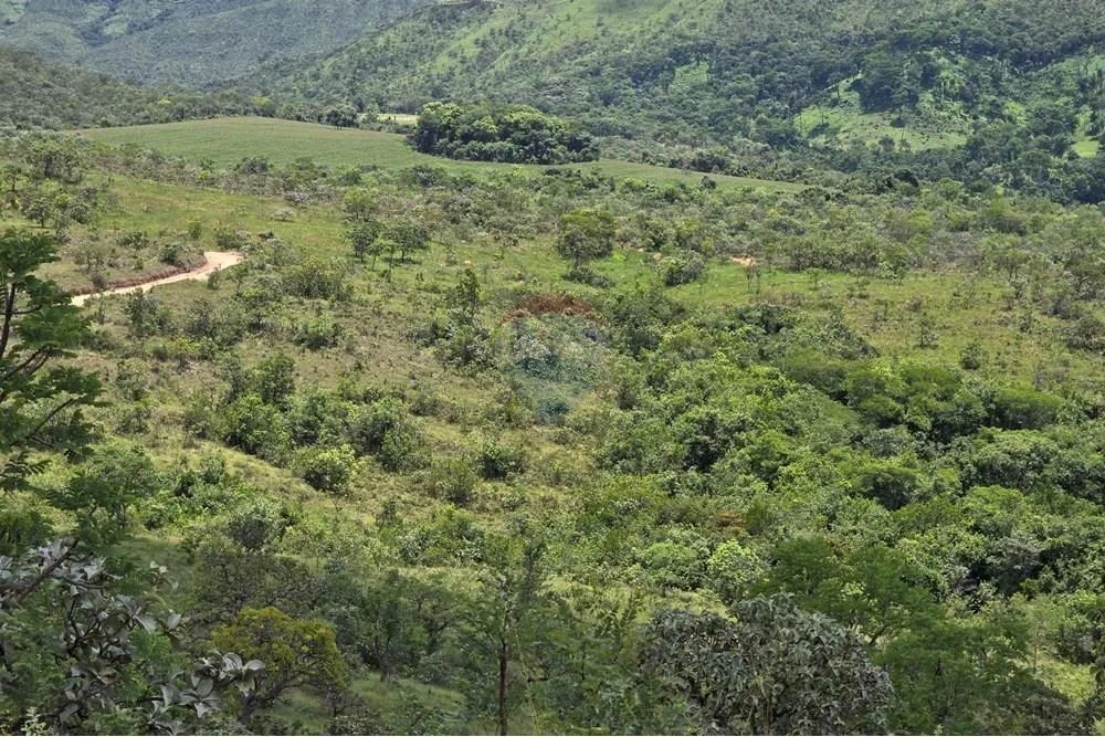 Sitio com 45 hectares na Serra da Canastra - Delfin ópolis MG - Foto 4