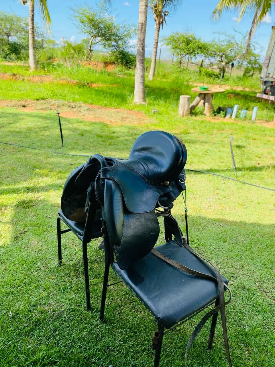 Sela pista  - Foto 3