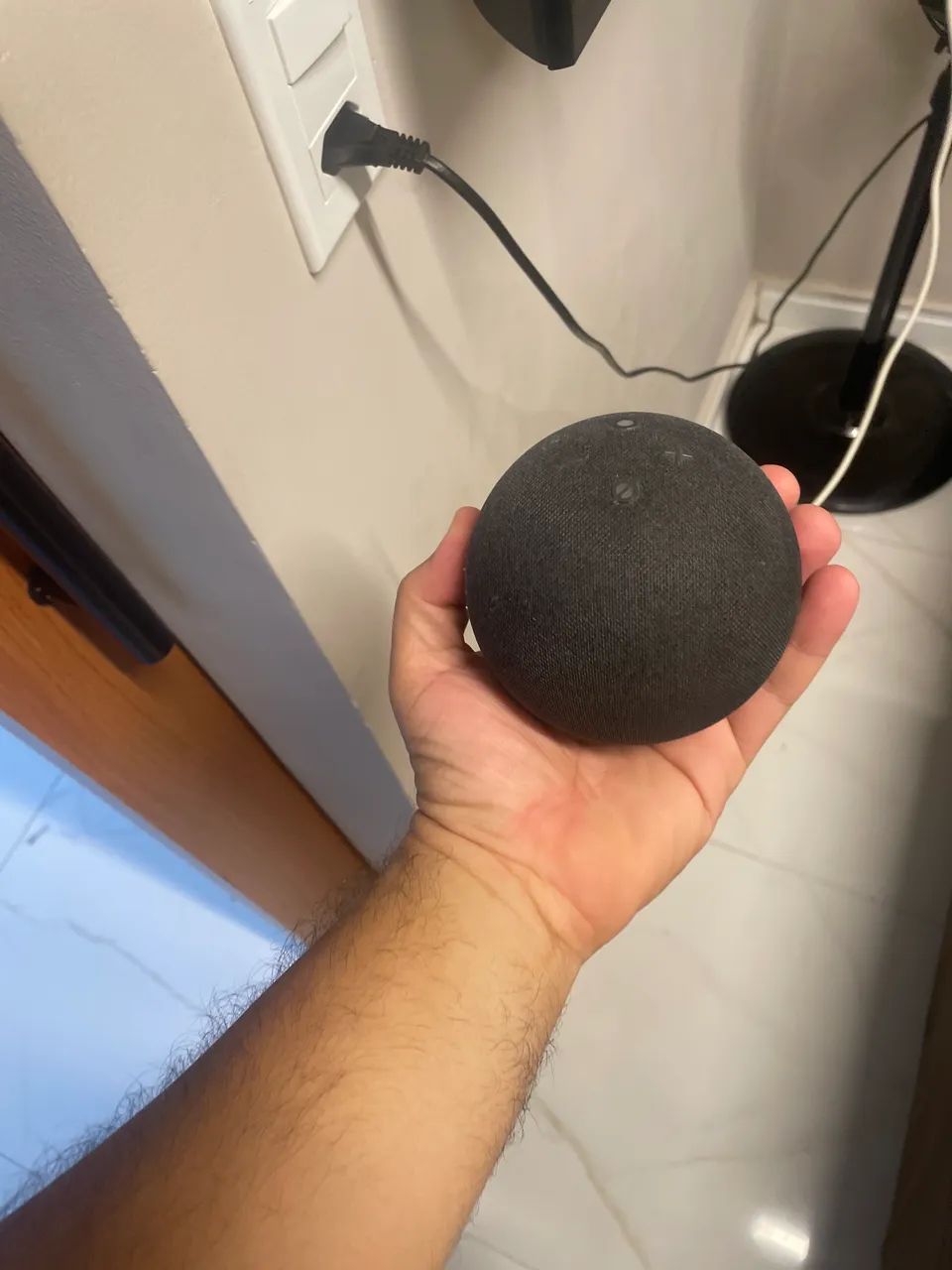 Echo dot