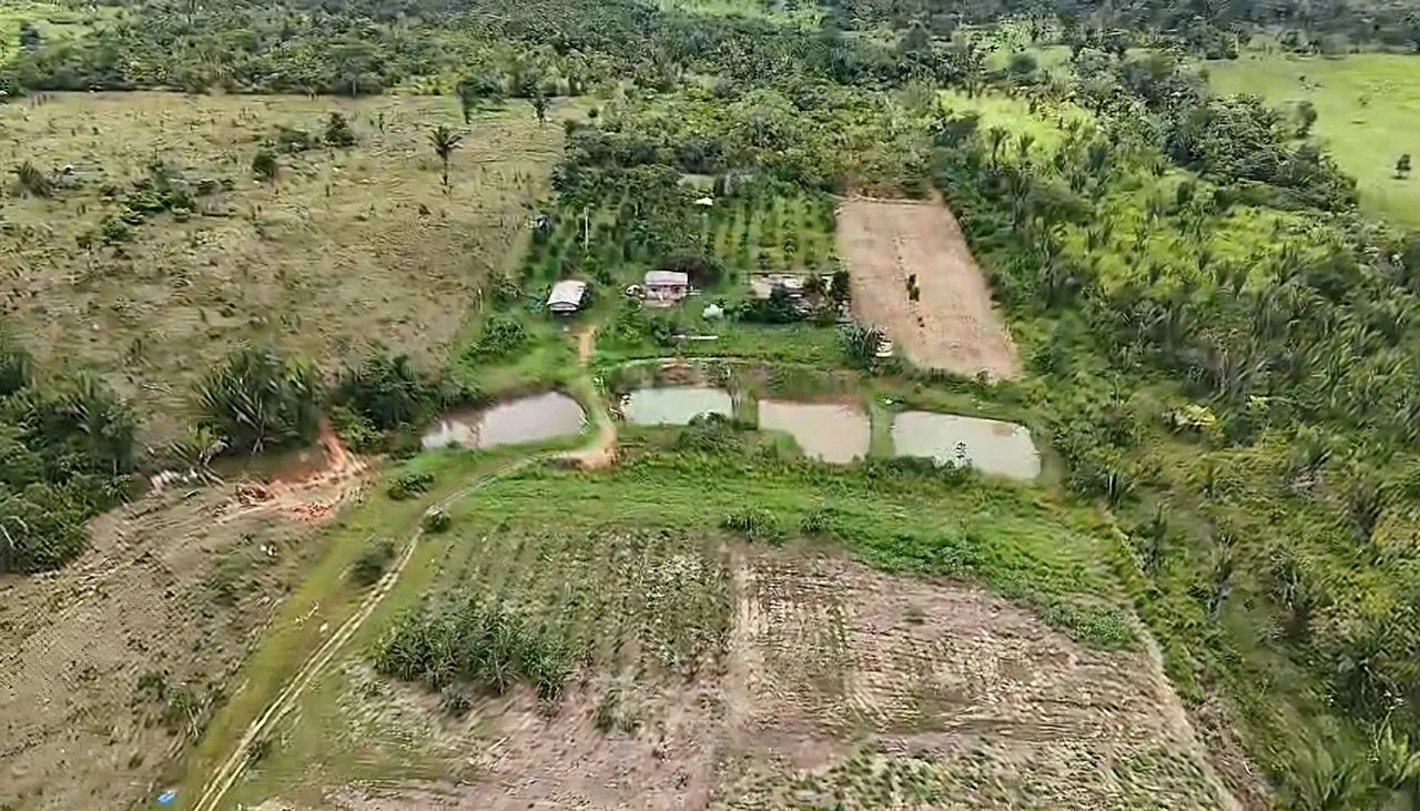 Caseiro 